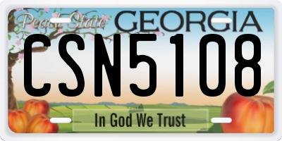 GA license plate CSN5108