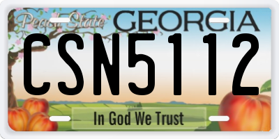 GA license plate CSN5112