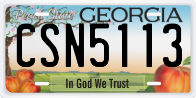 GA license plate CSN5113
