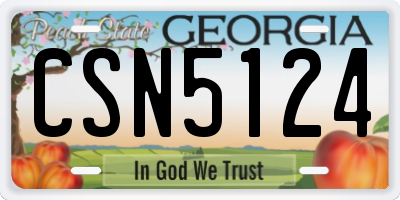 GA license plate CSN5124