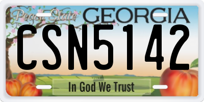 GA license plate CSN5142