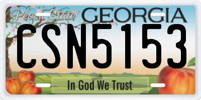 GA license plate CSN5153