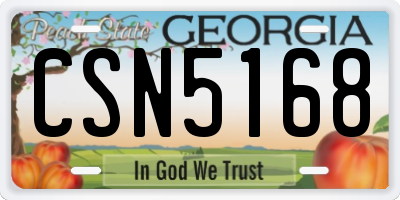 GA license plate CSN5168