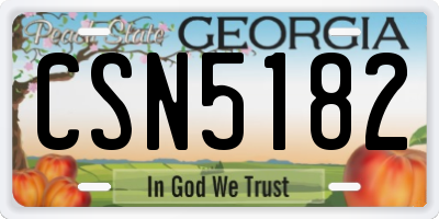 GA license plate CSN5182