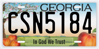 GA license plate CSN5184
