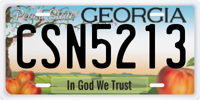 GA license plate CSN5213