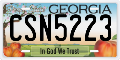 GA license plate CSN5223