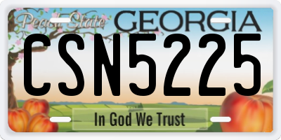 GA license plate CSN5225