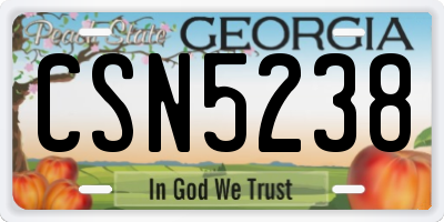 GA license plate CSN5238
