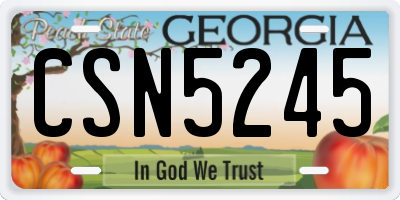 GA license plate CSN5245