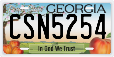 GA license plate CSN5254