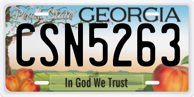 GA license plate CSN5263