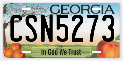 GA license plate CSN5273