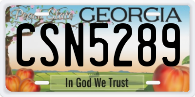 GA license plate CSN5289