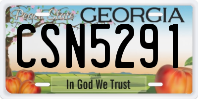 GA license plate CSN5291