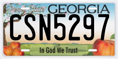 GA license plate CSN5297