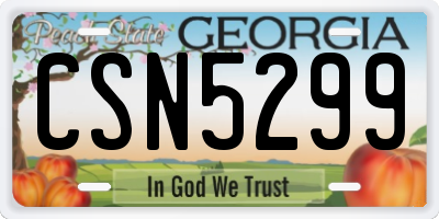 GA license plate CSN5299