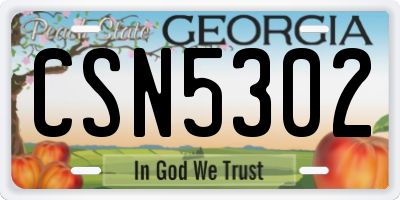 GA license plate CSN5302