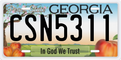 GA license plate CSN5311