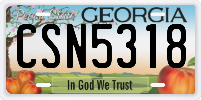 GA license plate CSN5318