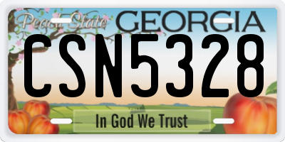 GA license plate CSN5328