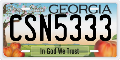 GA license plate CSN5333