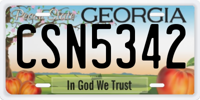 GA license plate CSN5342