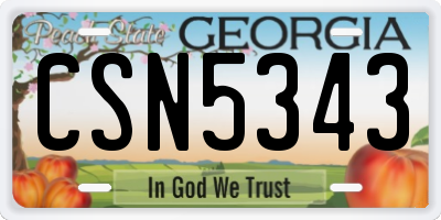 GA license plate CSN5343