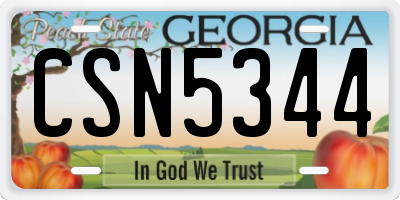 GA license plate CSN5344