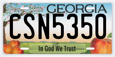 GA license plate CSN5350