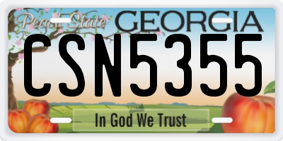 GA license plate CSN5355