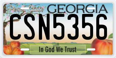 GA license plate CSN5356