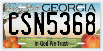 GA license plate CSN5368