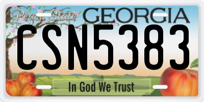 GA license plate CSN5383