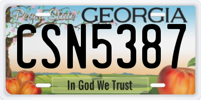 GA license plate CSN5387