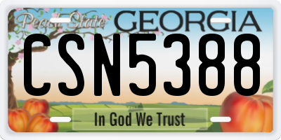 GA license plate CSN5388