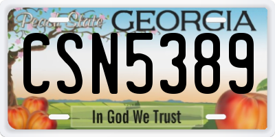 GA license plate CSN5389