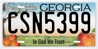 GA license plate CSN5399
