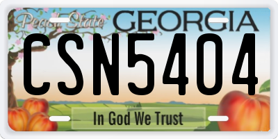 GA license plate CSN5404