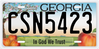 GA license plate CSN5423
