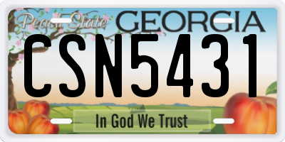 GA license plate CSN5431