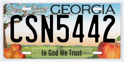 GA license plate CSN5442