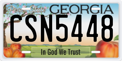 GA license plate CSN5448