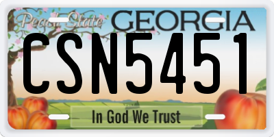 GA license plate CSN5451