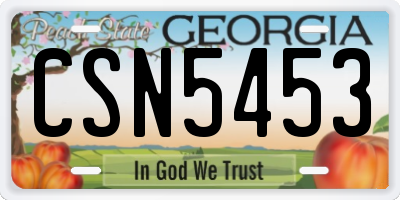 GA license plate CSN5453