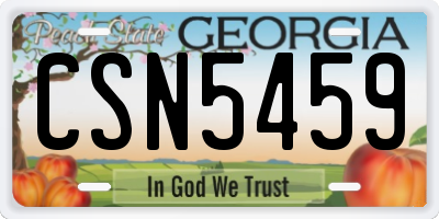GA license plate CSN5459