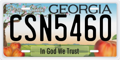 GA license plate CSN5460