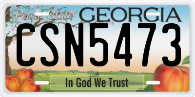 GA license plate CSN5473
