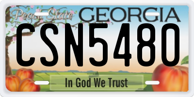 GA license plate CSN5480