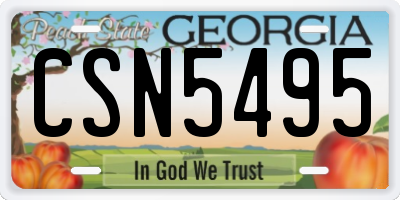 GA license plate CSN5495
